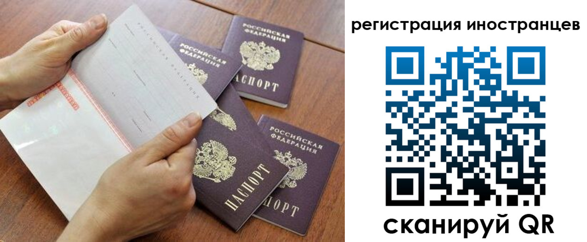 прописка поиск в Павлово